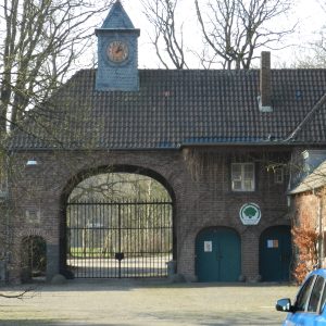 Buslinie Heideportal