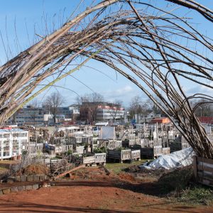 Urban Gardening